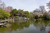 jardin_japonais8907.jpg