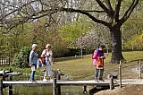 jardin_japonais8917.jpg