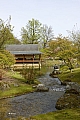 jardin_japonais8921.jpg