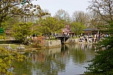 jardin_japonais8930.jpg