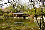 jardin_japonais8936.jpg