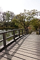 jardin_japonais8948.jpg