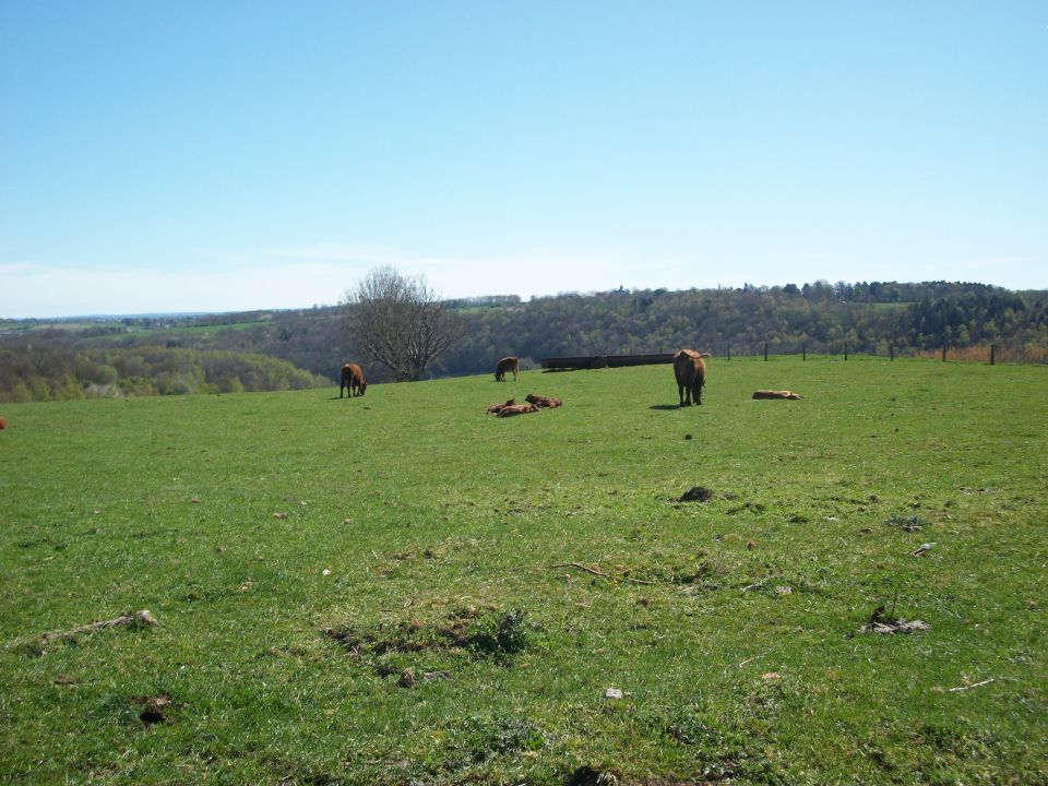 chaudfontaine582.jpg