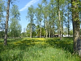 holsbeek60015.jpg