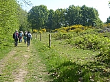 holsbeek993.jpg