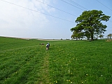 Targnon à Trois-Ponts