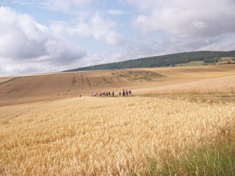 bourgogne1087.jpg