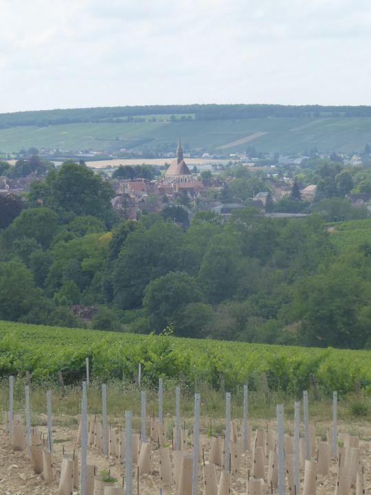 tonnerre471.jpg
