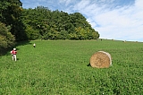 karlstejn0283.jpg