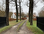 bosbeek0799.jpg