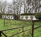 bosbeek0808.jpg