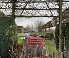 bosbeek0811.jpg