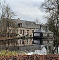 bosbeek0839.jpg