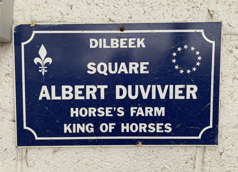 dilbeek1282.jpg