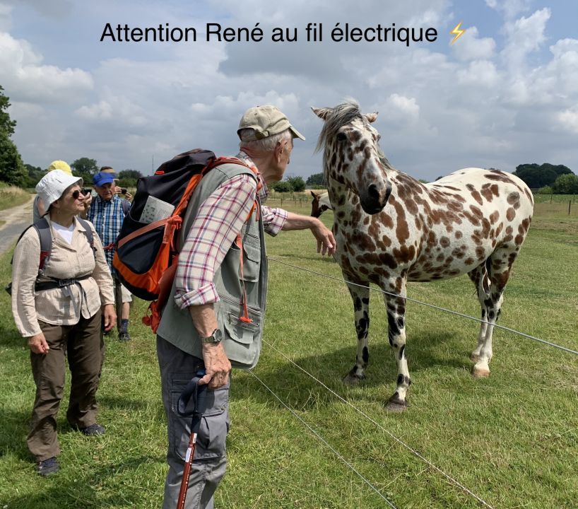 asse3887.jpg