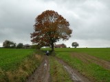 Sint-Joris-Weert à Florival