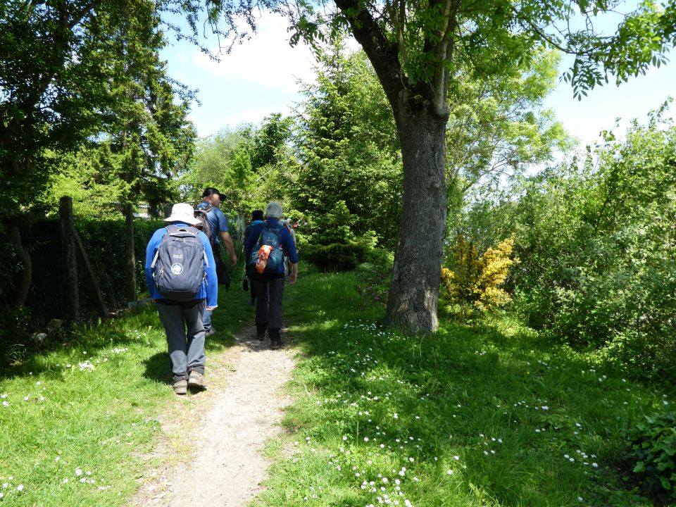 pontoise10162.jpg