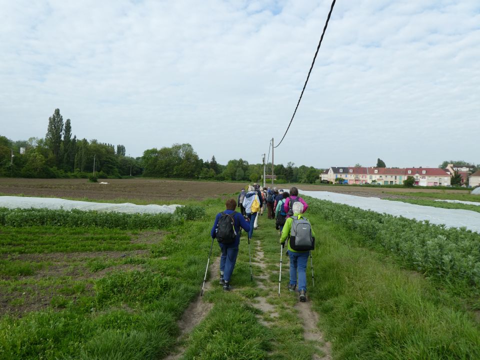 axemajeur10168.jpg