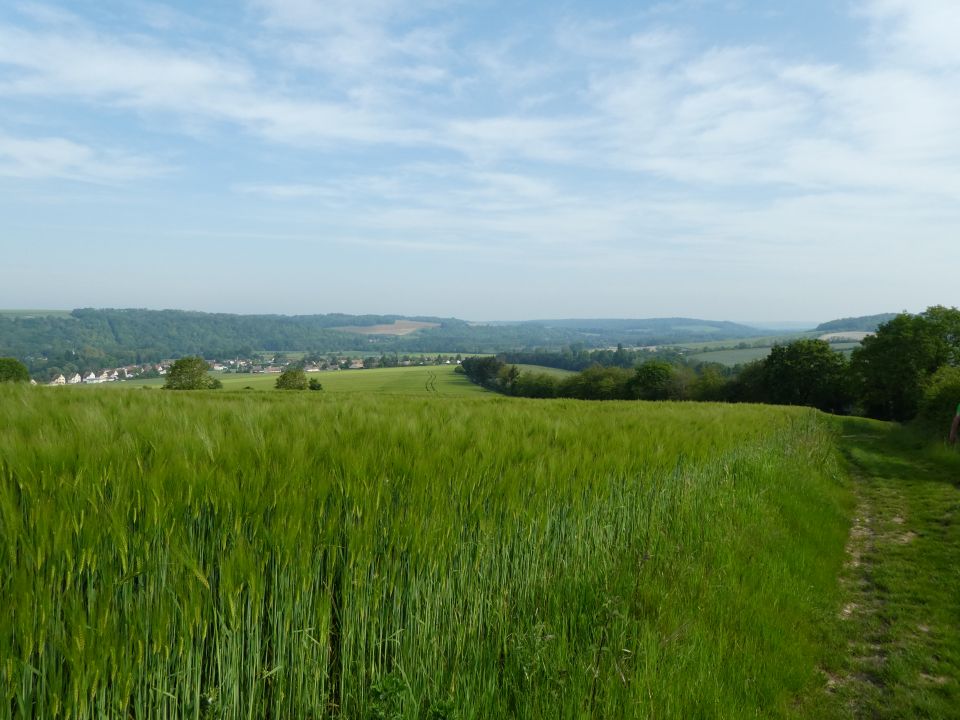 rocheguyon10190.jpg