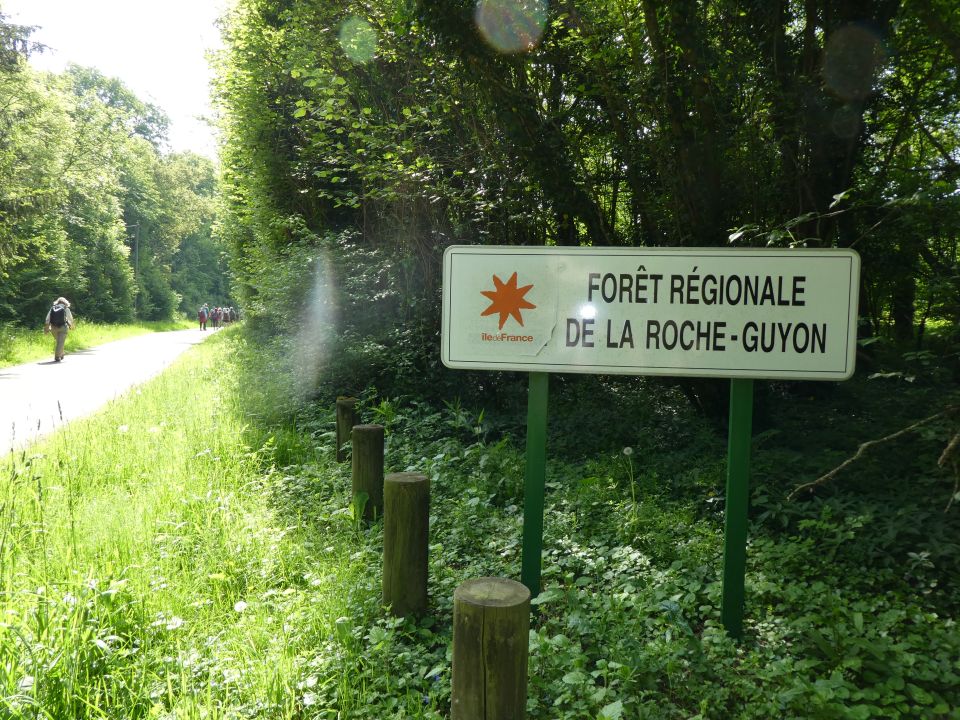 rocheguyon10196.jpg