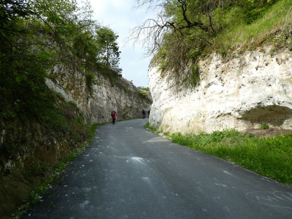 giverny10217.jpg
