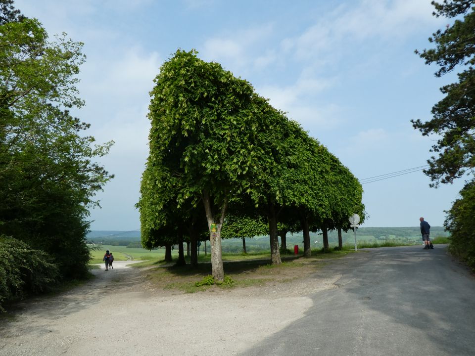 giverny10218.jpg
