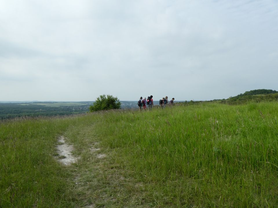 giverny10220.jpg