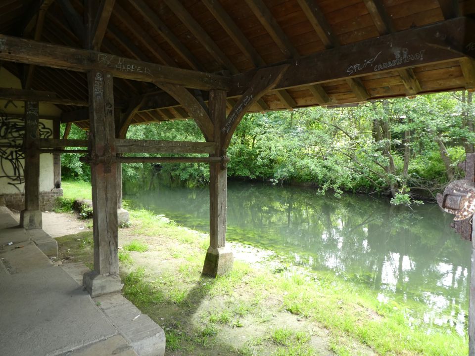 giverny10223.jpg