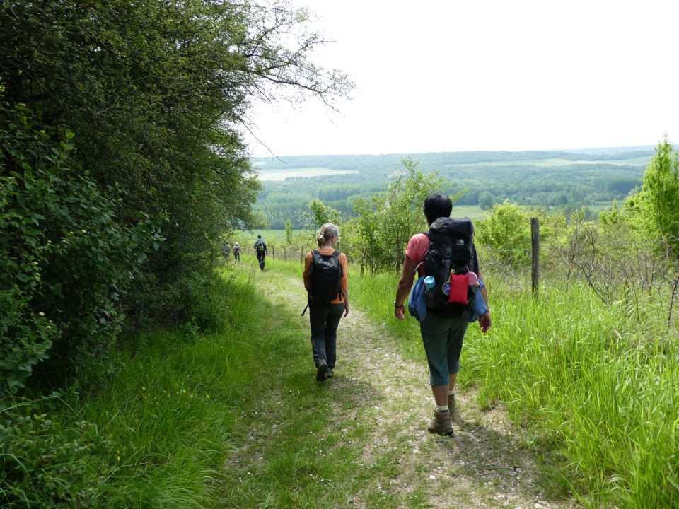 giverny10225.jpg