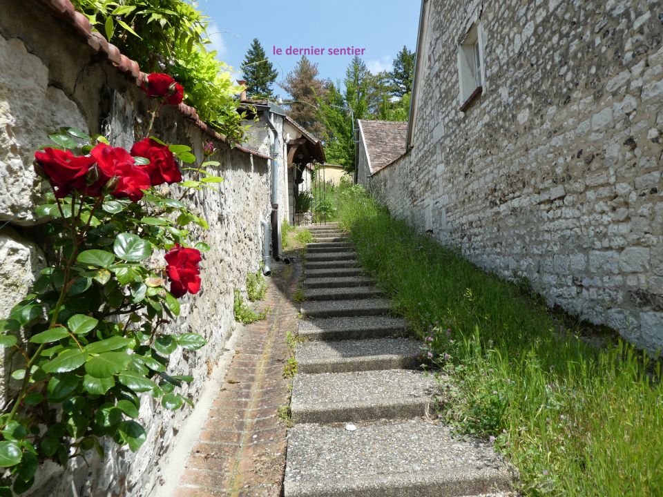 giverny10232.jpg