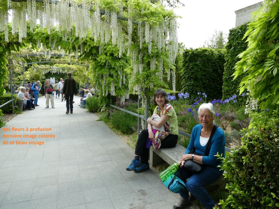 giverny10234.jpg