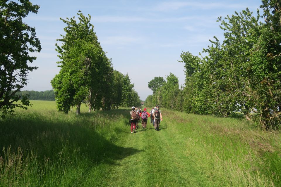 rocheguyon2428.jpg