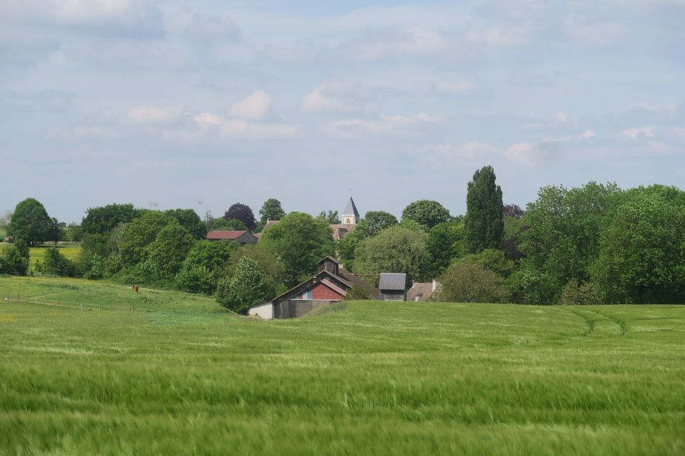 rocheguyon2440.jpg