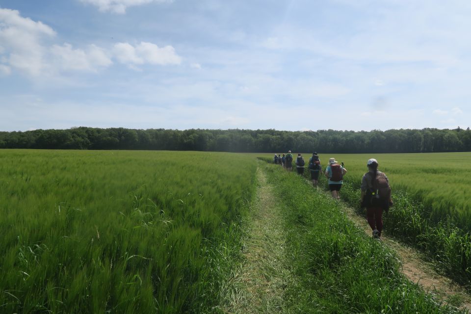 rocheguyon2443.jpg