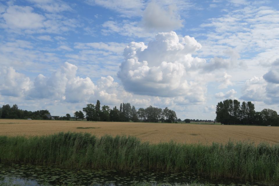 lemmer3966.jpg