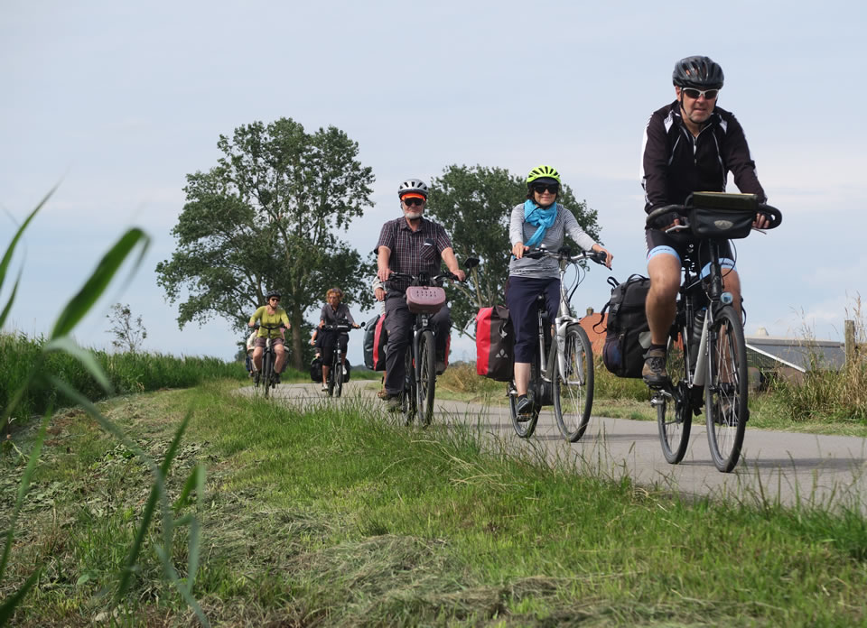 lemmer3998.jpg