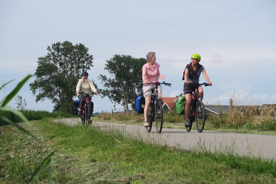lemmer4001.jpg