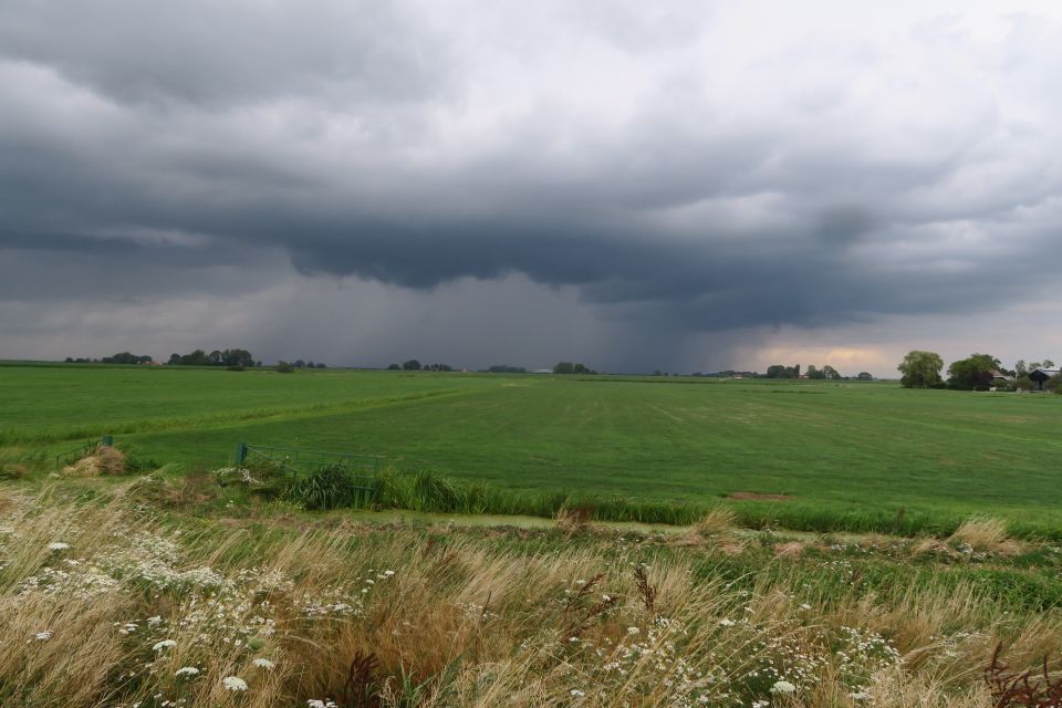 lemmer4051.jpg