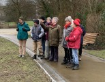 Boitsfort et ses cités jardins