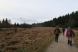 fagnes5364.jpg