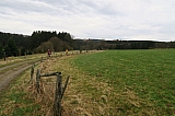 fagnes5387.jpg