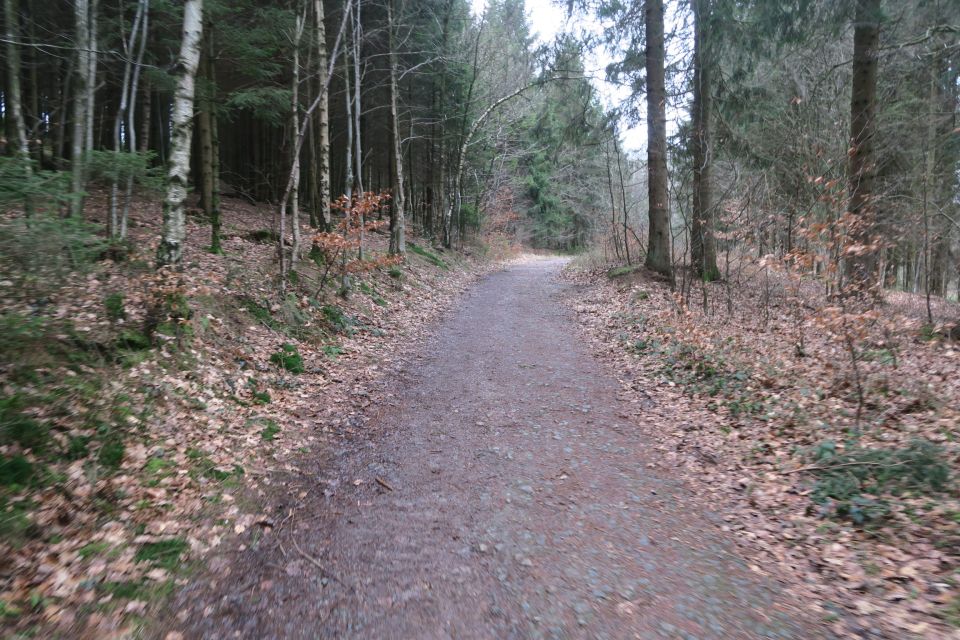 fagnes5406.jpg