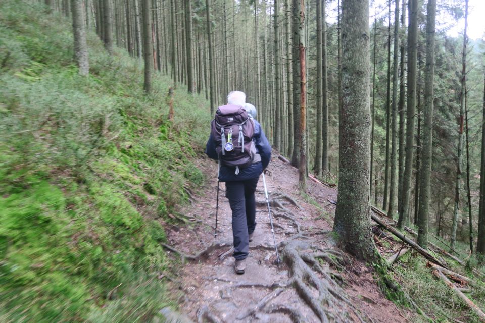 fagnes5411.jpg
