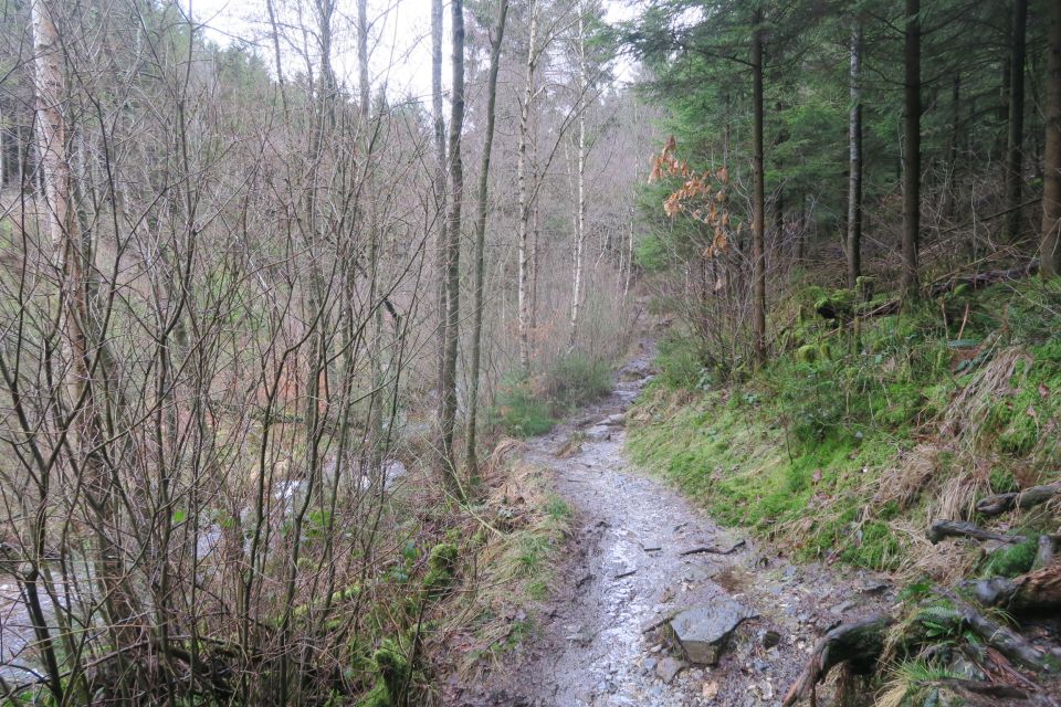 fagnes5418.jpg