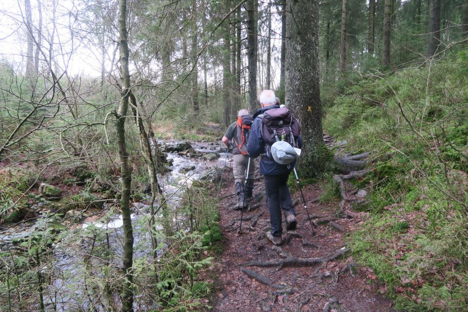 fagnes5421.jpg