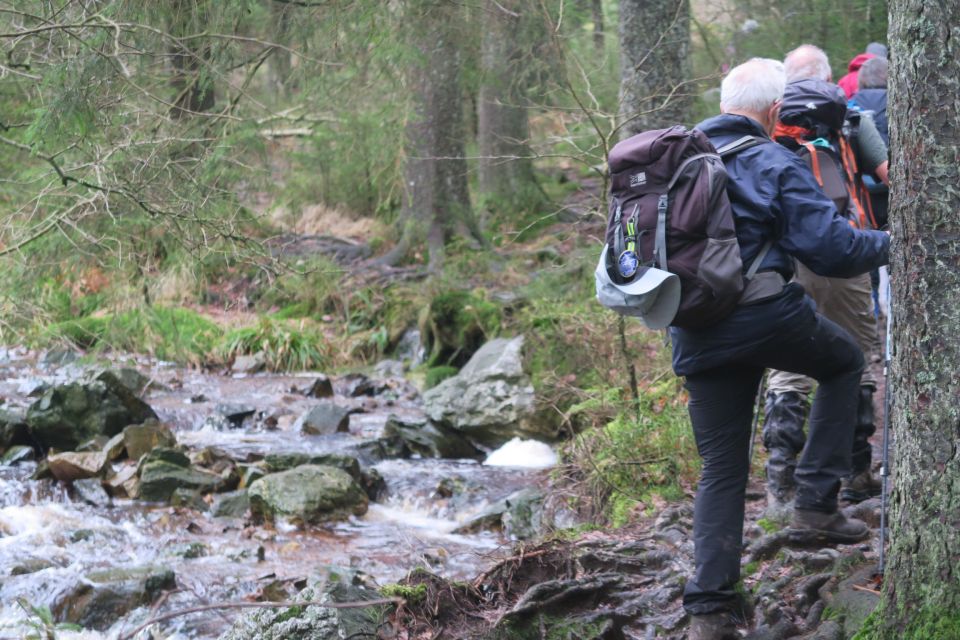 fagnes5422.jpg