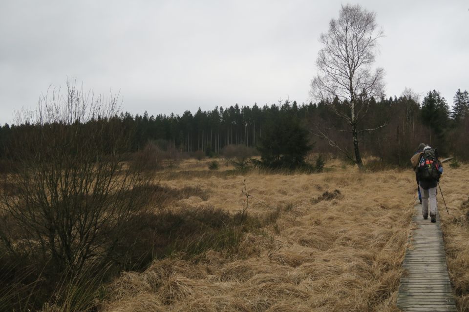 fagnes5425.jpg