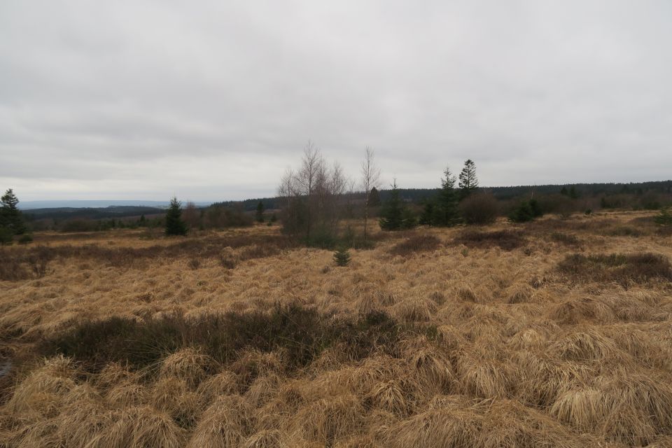 fagnes5426.jpg