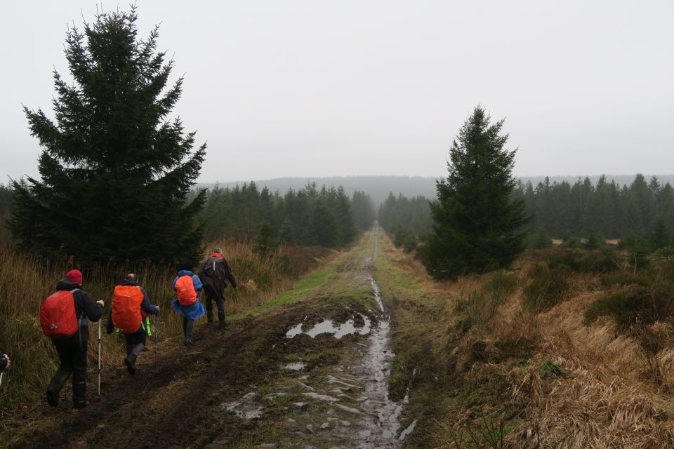 fagnes5432.jpg