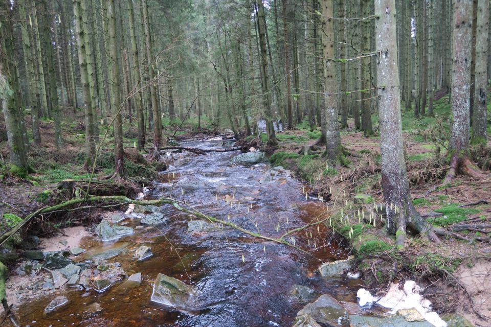 fagnes5433.jpg